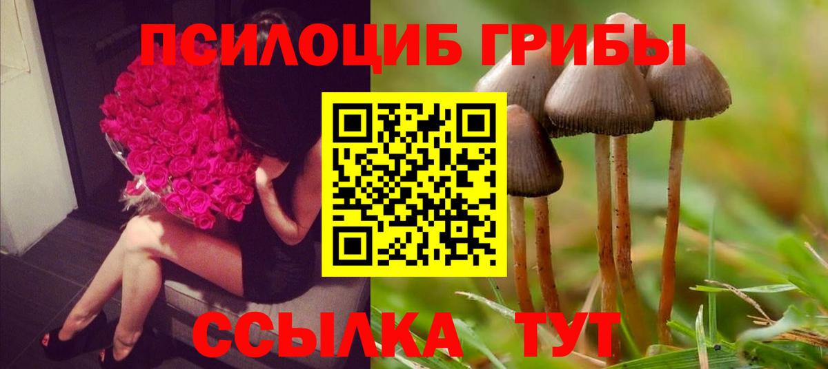 Псилоцибиновые грибы ЛСД Волгодонск