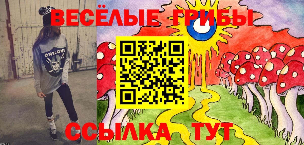 Галлюциногенные грибы мицелий  Вход с VPN  Волгодонск 
