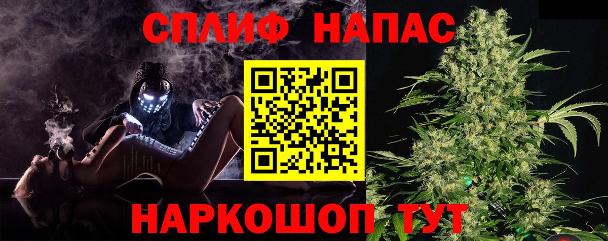 Каннабис план Волгодонск